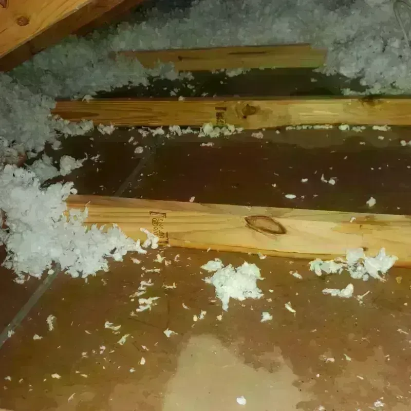 Attic Water Damage in Clarke County, MS