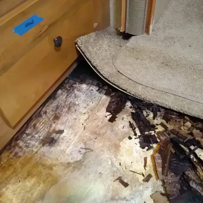 Wood Floor Water Damage in Clarke County, MS